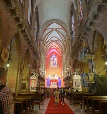 Byliny miododajne, które pszczoły kochają: lista, kalendarz, kluczowy trik