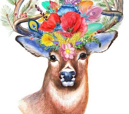 Rośliny w biurze przy klimatyzacji – gatunki odporne na suche powietrze